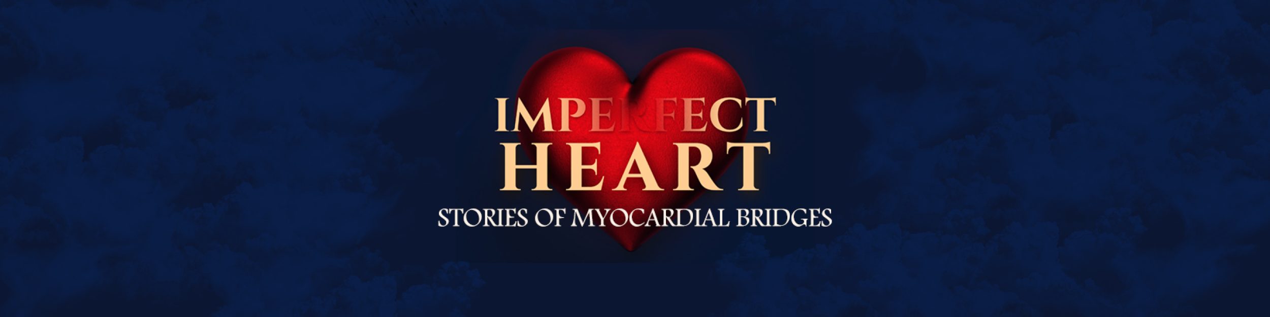 My Imperfect Heart